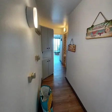 Francia Vue Mer 칸느